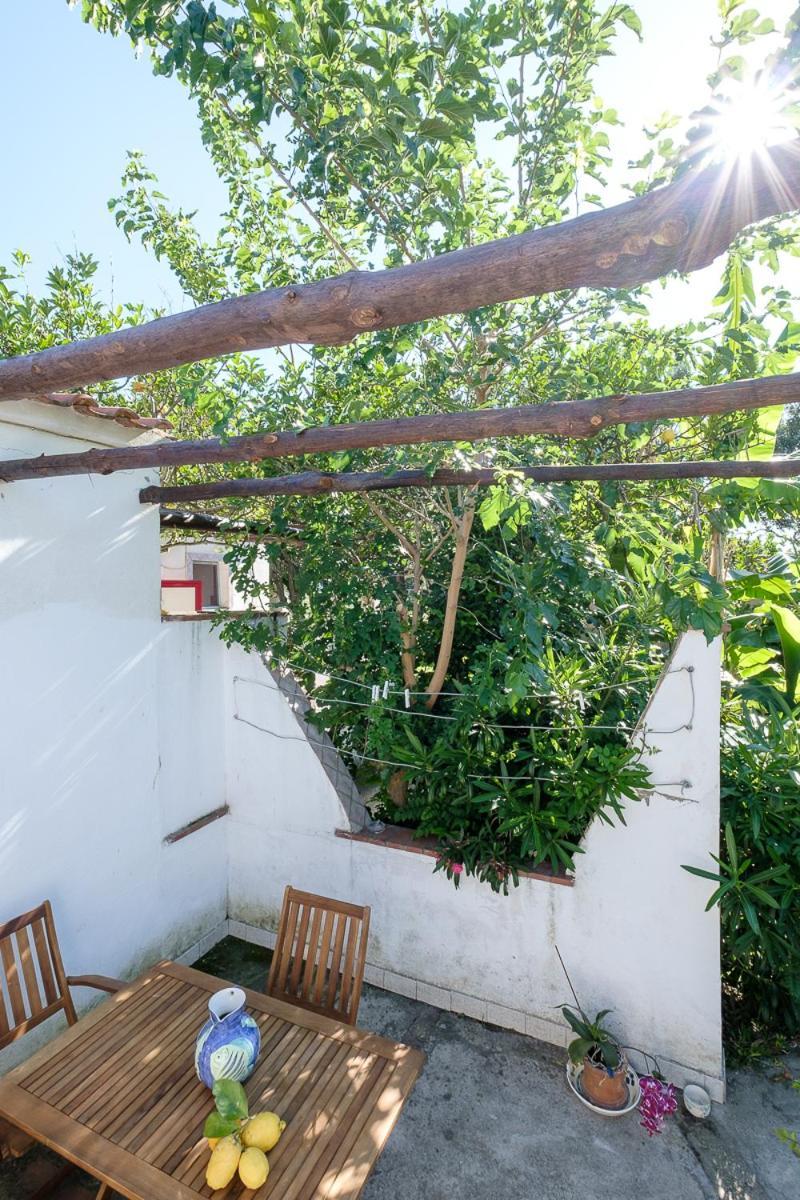 Aparthotel La Rosa Dei Venti Procida