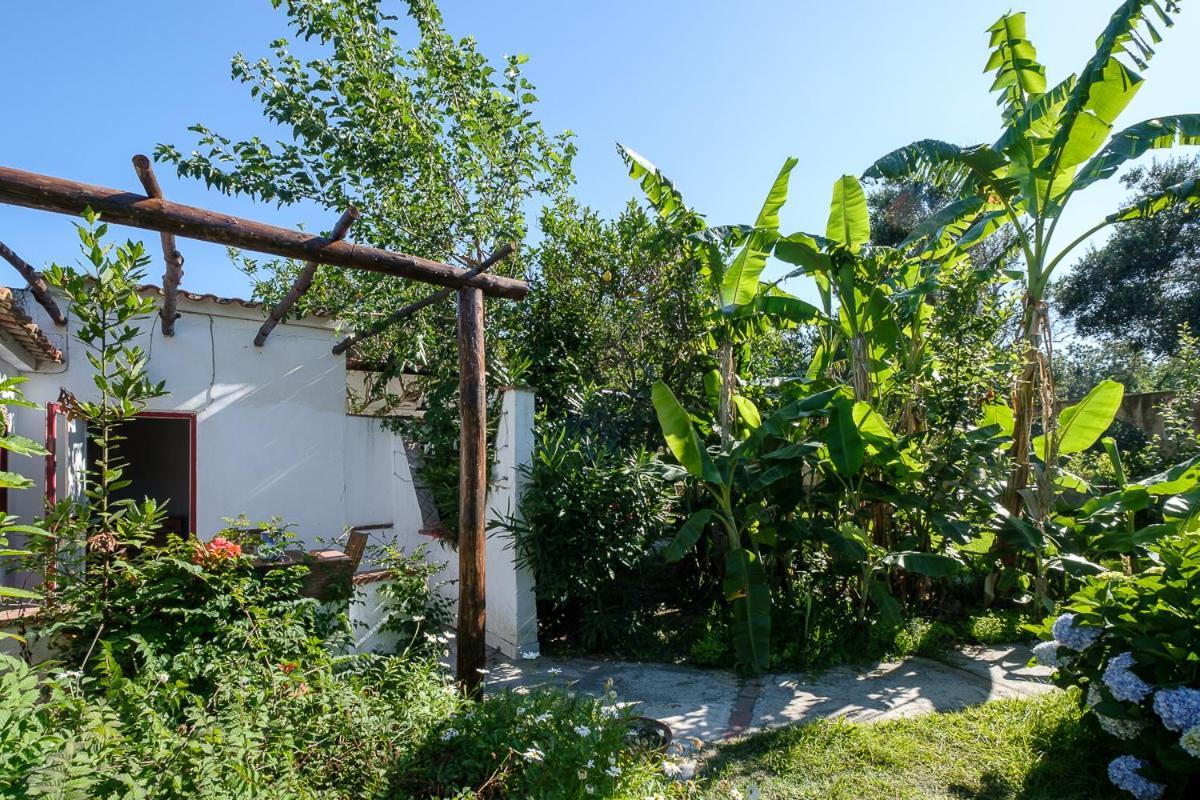 La Rosa Dei Venti Aparthotel Procida