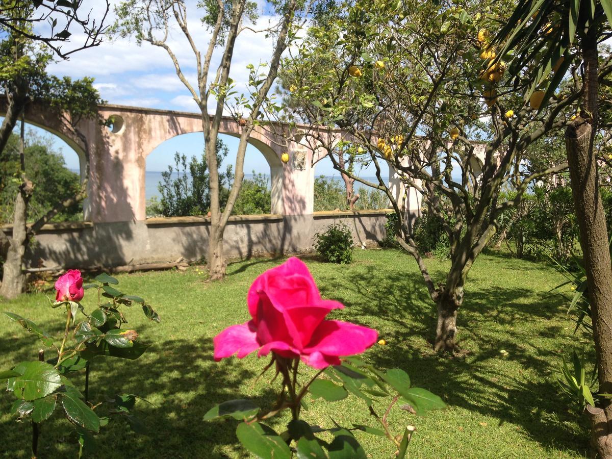 La Rosa Dei Venti Aparthotel Procida