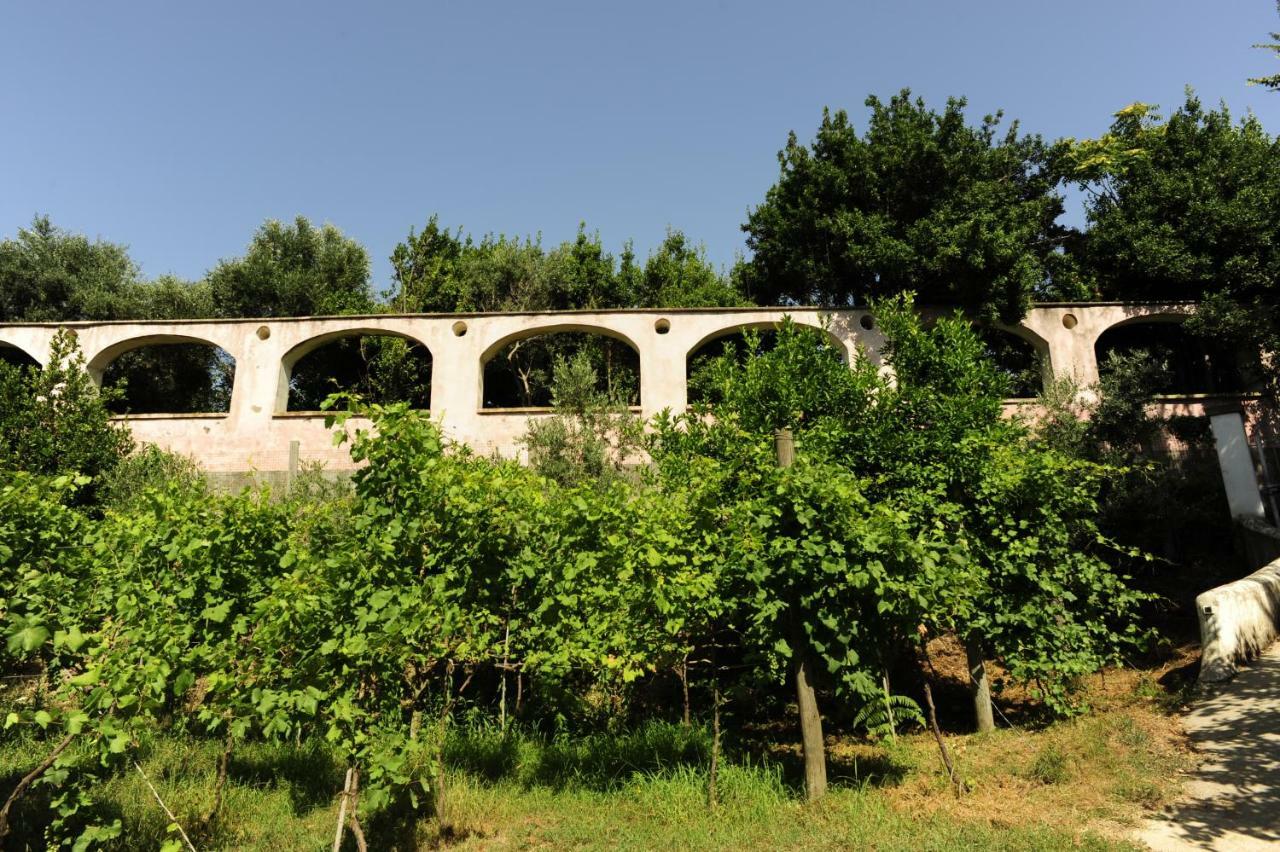 La Rosa Dei Venti Aparthotel